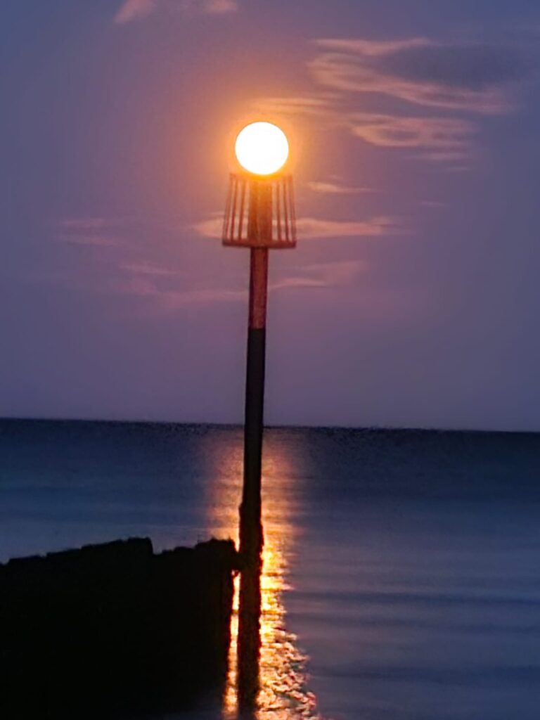 Stunning images of the rare blue moon in the Bridlington area