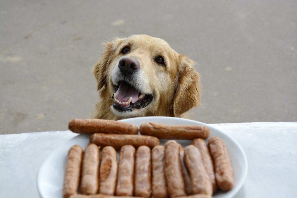 Four-legged friends take the lead at Bridlington Doggy Freedom Day this Sunday -1st October