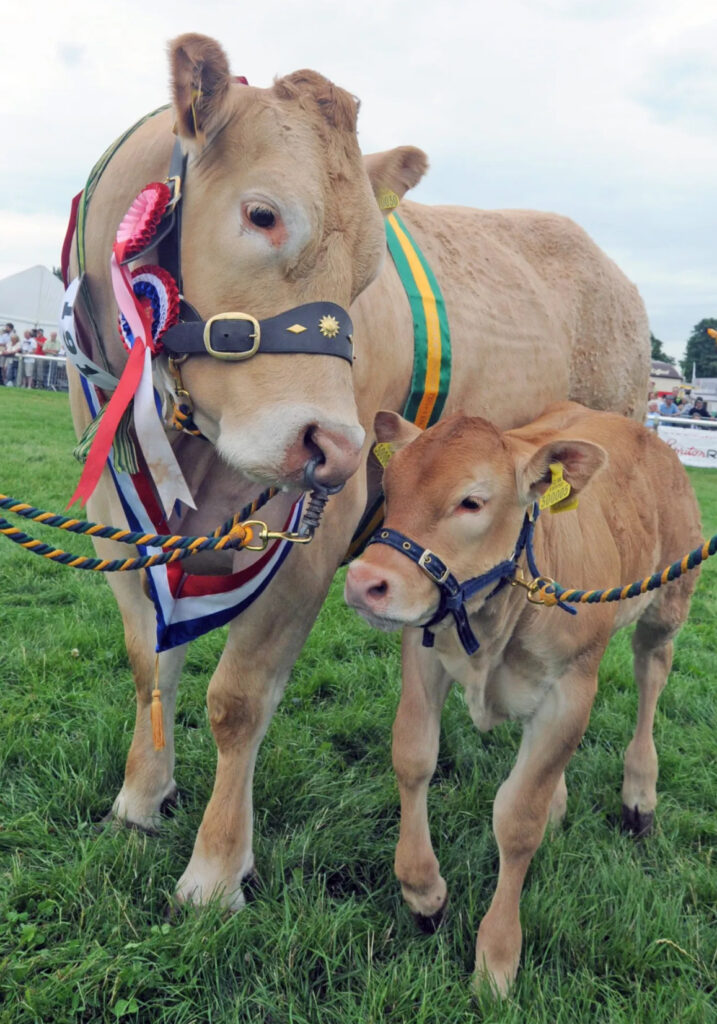 Get set for Driffield Show – the Show with something for everyone