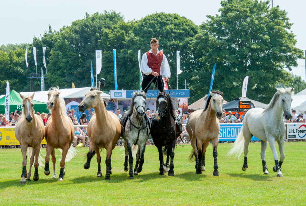 Get set for Driffield Show – the Show with something for everyone