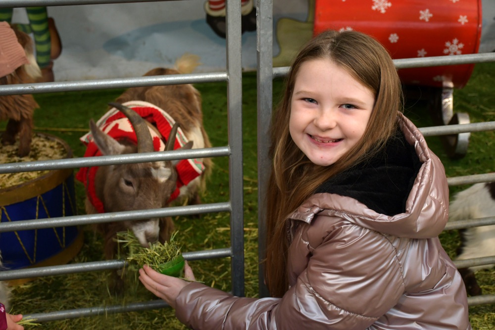 Festive Farm Fun at Eastfield Garden Centre on 16/17th November