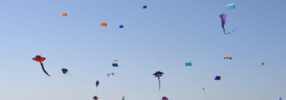 Bridlington Kite Festival this weekend 17-18 May and it’s FREE