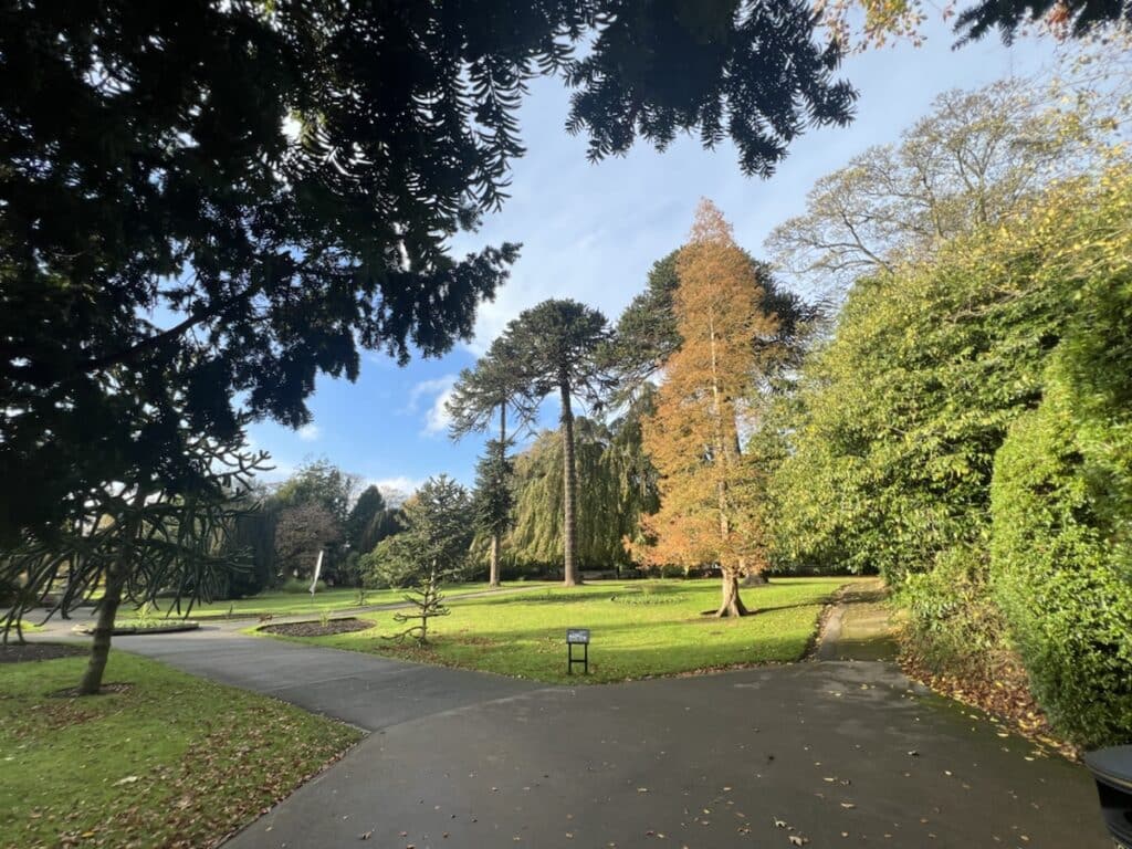 Get festive at Sewerby Hall and Gardens as the Christmas season commences with a focus on Elves