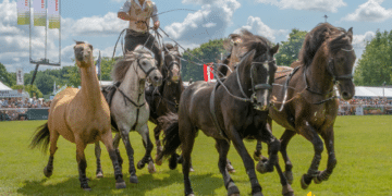 Driffield Show celebrates 150th show on 22 July
