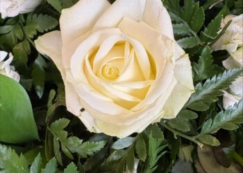 Family announcements and Funeral Notice - August 2026