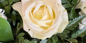 Family announcements and Funeral Notice - August 2026