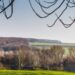 Six-turbine wind farm refused by East Riding Council